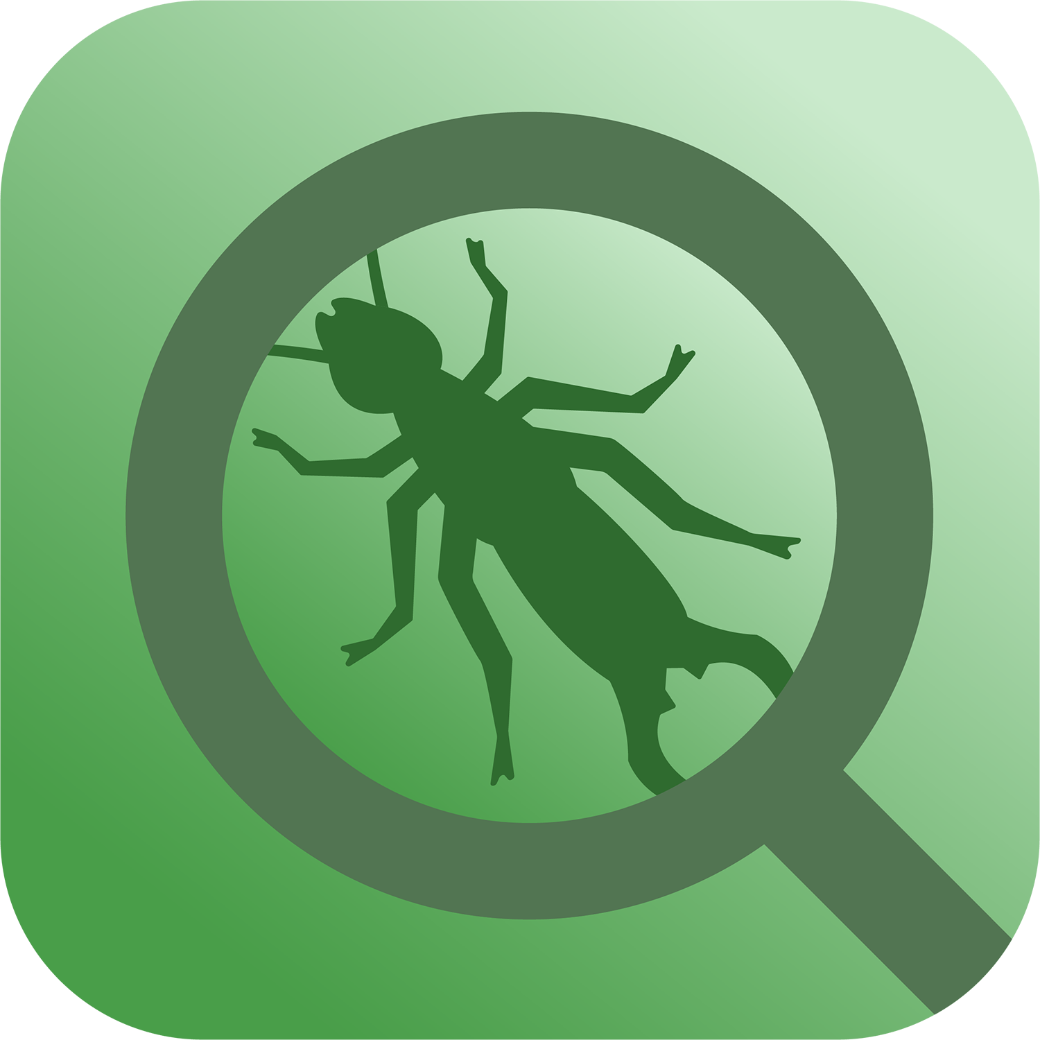 Bug-Hunt-Logo-Website